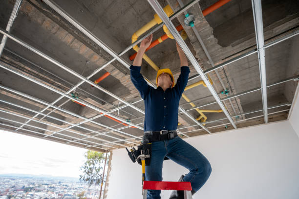 Best Emergency Plumbing Repair  in Trumansburg, NY