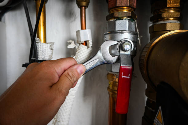 Best Sewer Line Repair  in Trumansburg, NY
